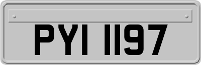 PYI1197