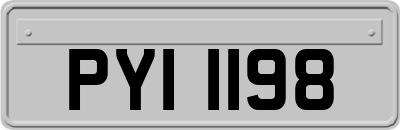 PYI1198