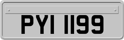 PYI1199