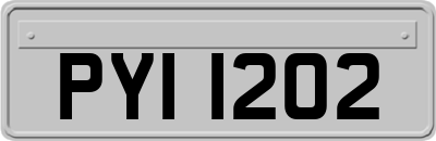 PYI1202