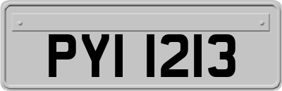 PYI1213