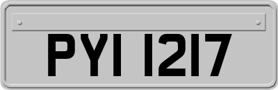 PYI1217