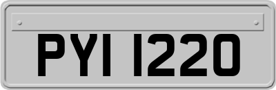 PYI1220