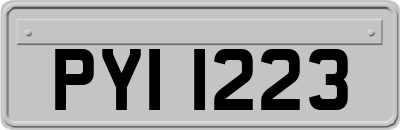 PYI1223