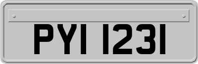 PYI1231