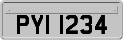 PYI1234