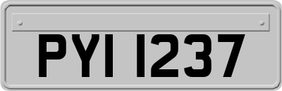 PYI1237