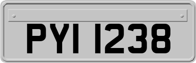 PYI1238