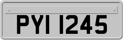 PYI1245