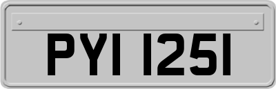 PYI1251