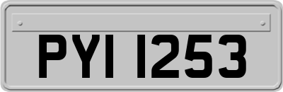 PYI1253