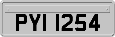 PYI1254