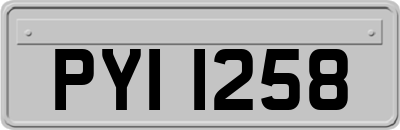 PYI1258