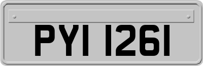 PYI1261