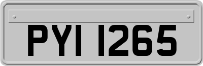 PYI1265