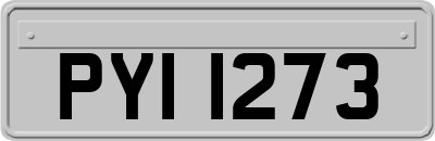 PYI1273