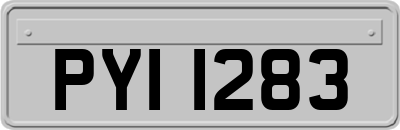 PYI1283