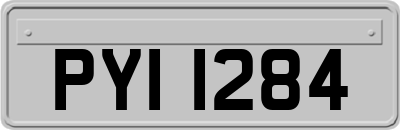 PYI1284