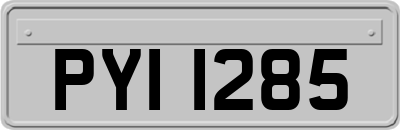 PYI1285