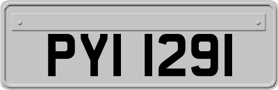 PYI1291