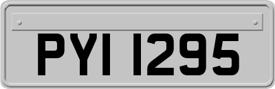 PYI1295