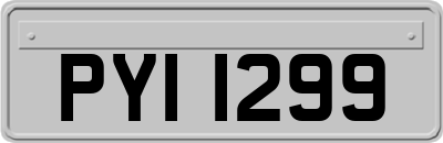 PYI1299