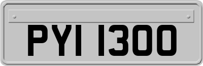 PYI1300