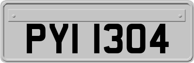 PYI1304