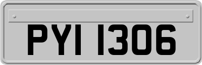 PYI1306