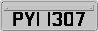 PYI1307