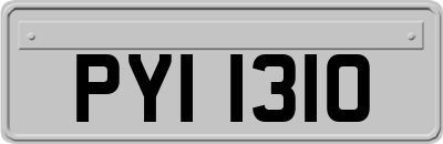 PYI1310