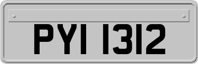 PYI1312