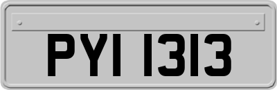 PYI1313