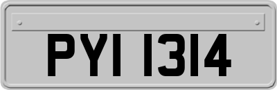 PYI1314