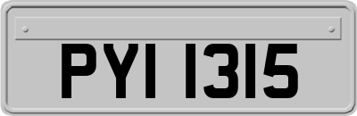 PYI1315