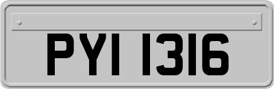 PYI1316