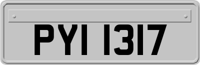 PYI1317