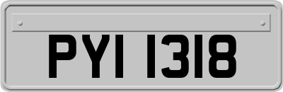 PYI1318