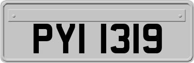 PYI1319