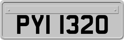 PYI1320