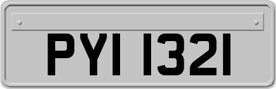 PYI1321