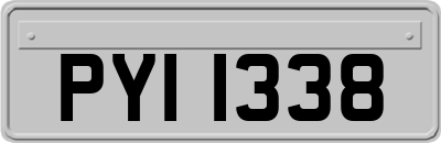 PYI1338