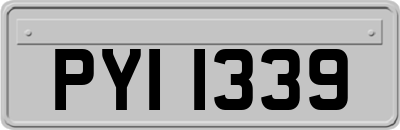 PYI1339