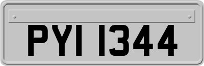 PYI1344