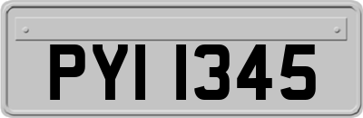 PYI1345