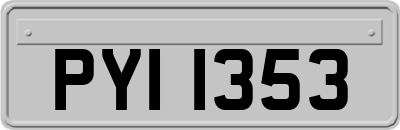 PYI1353