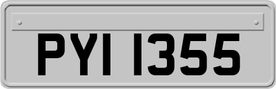 PYI1355