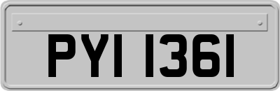 PYI1361