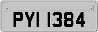 PYI1384