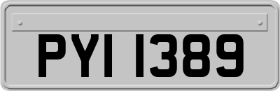 PYI1389